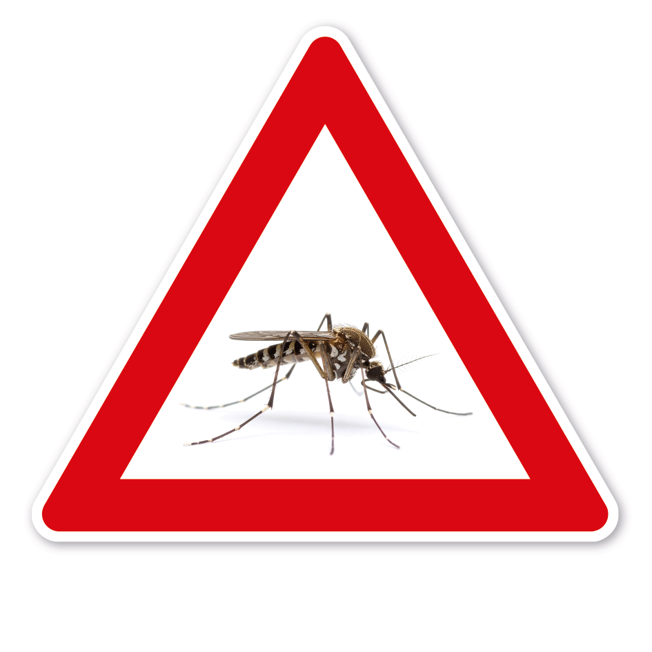 Achtung Asiatische Tigermücke - mit Foto – VZ-PB-11