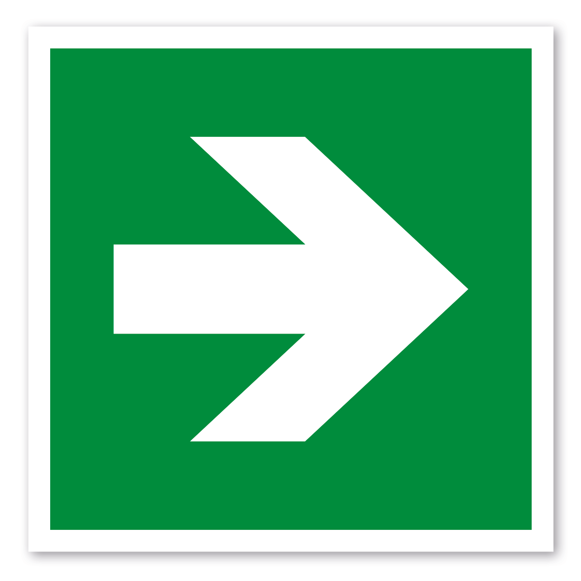 Rettungszeichen Richtungsangabe links-rechts - ISO 7010 - E005