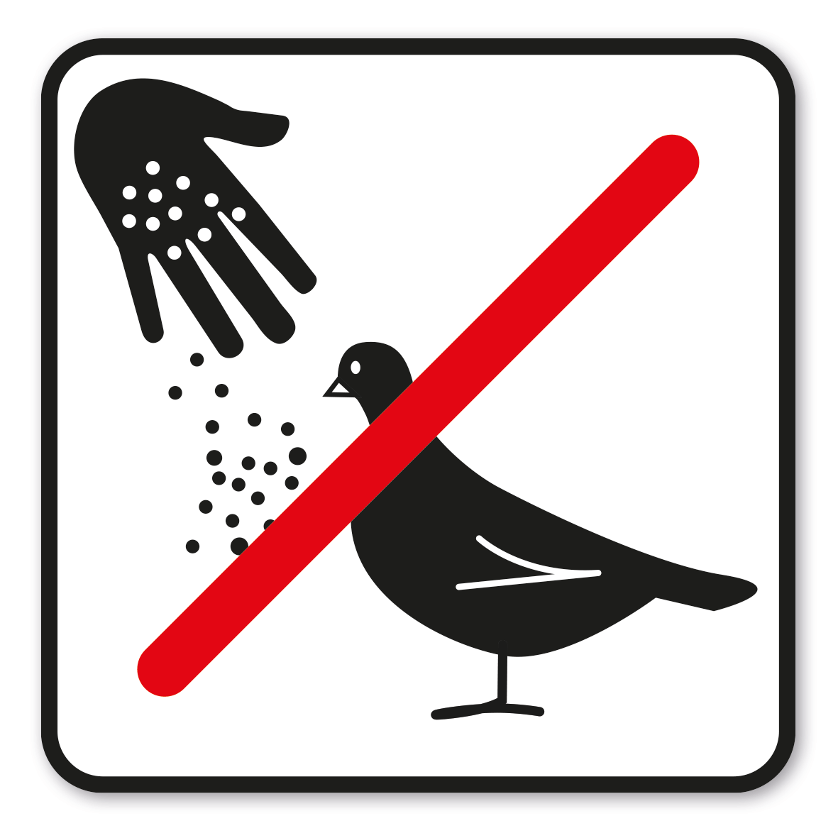 GF-P27 – Das Füttern von Tauben ist nicht gestattet