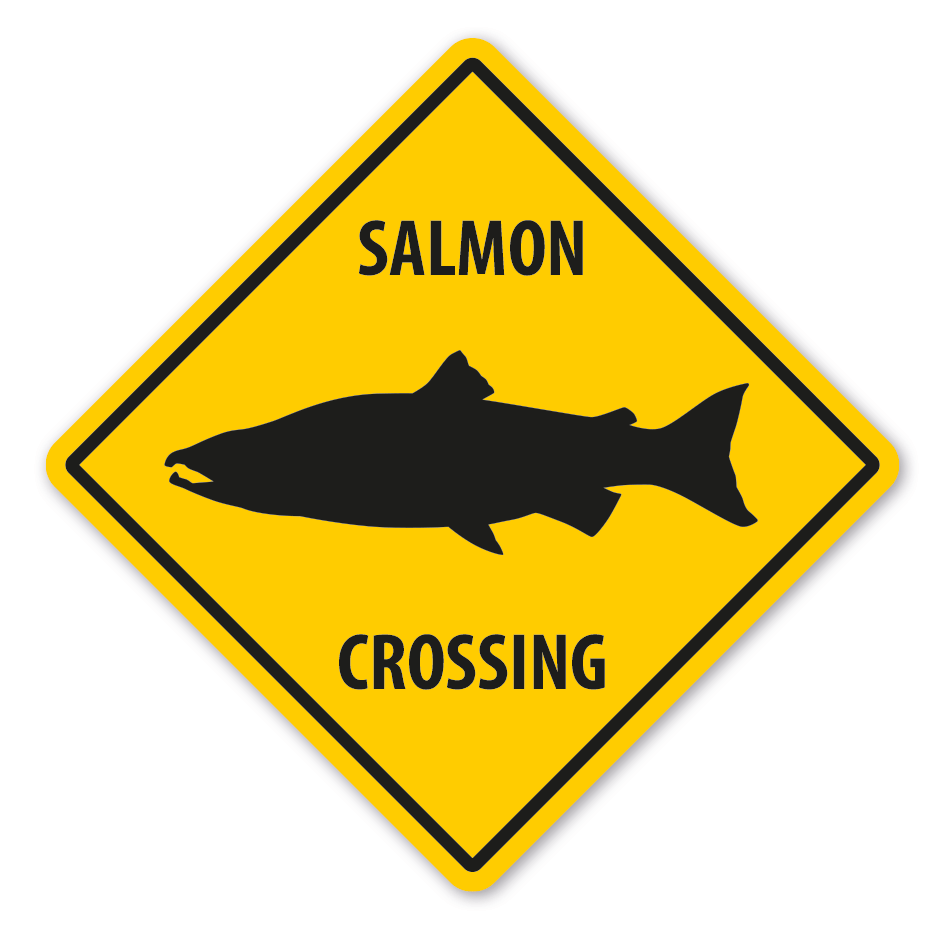 Warnschild Salmon (Lachs) crossing - mit und ohne Text