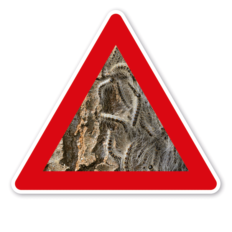 Verkehrsschild Achtung Eichenprozessionsspinner - mit Foto – VZ-PB 05