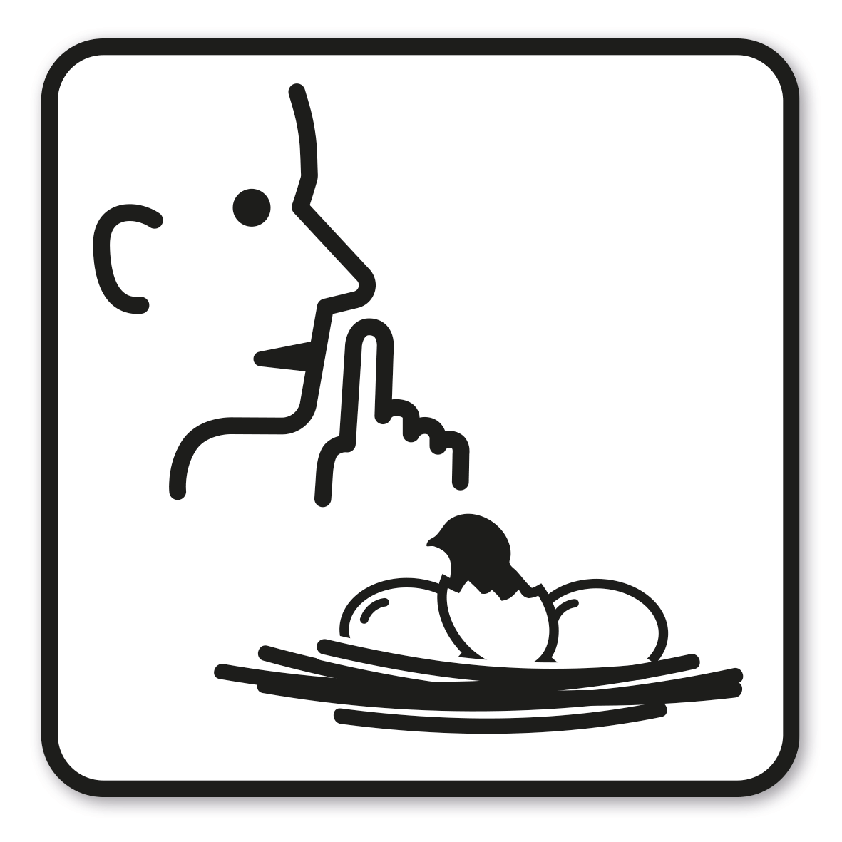 GF-P85 – Verhalten Sie sich leise und stören Sie brütende Vögel nicht