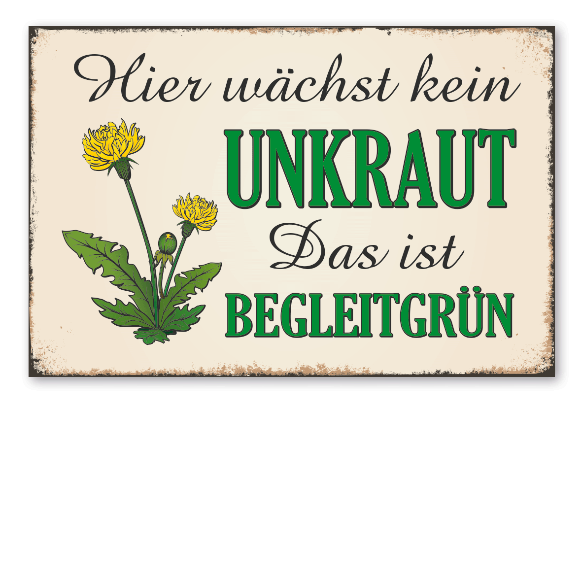 Retroschild / Vintage-Schild Hier wächst kein Unkraut – das ist Begleitgrün