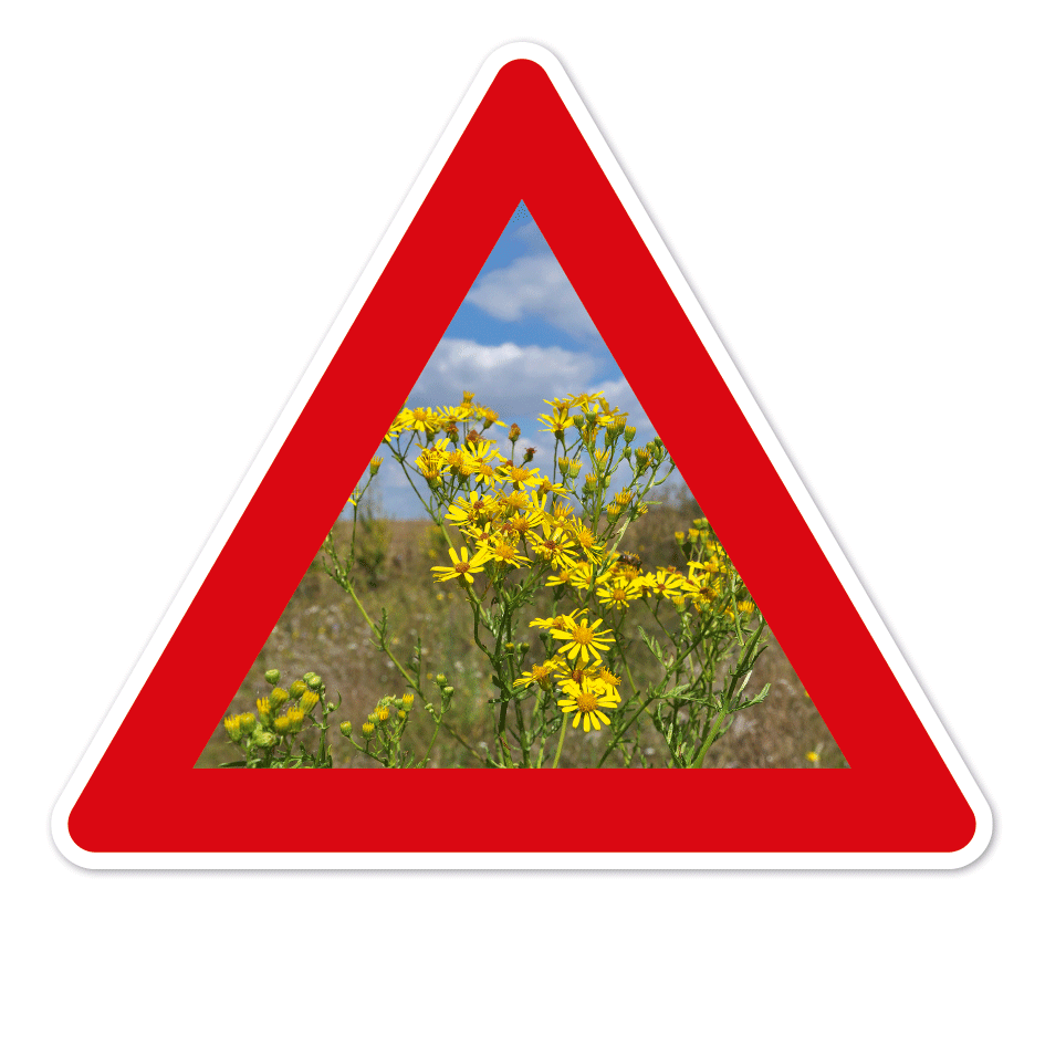 Achtung Jakobskreuzkraut - mit Foto – VZ-PB-10