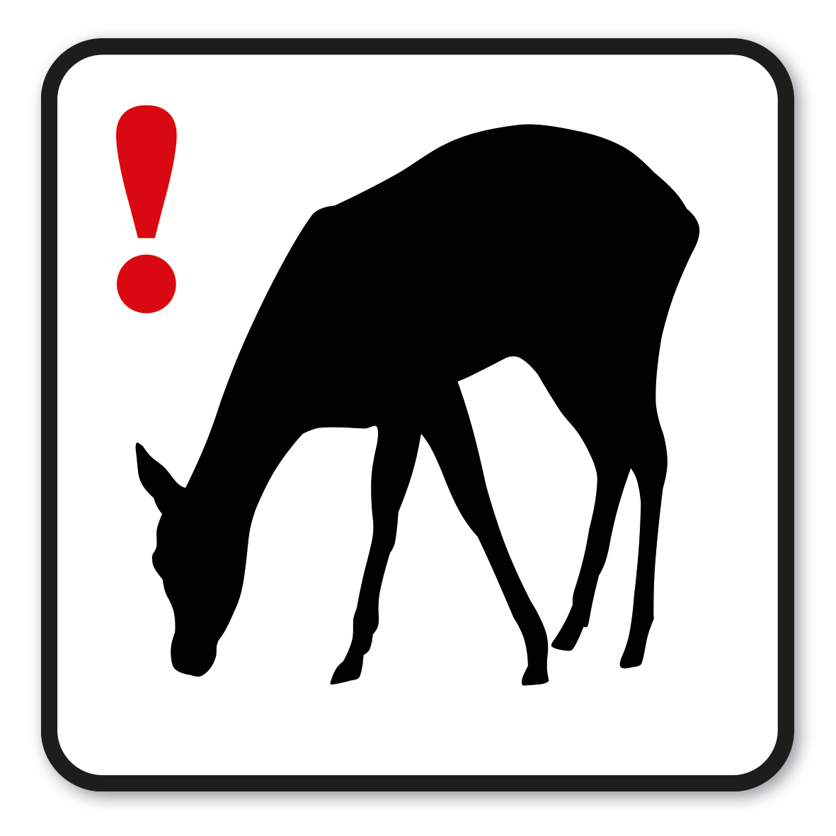 GF-P60 – Bitte verhalten Sie sich ruhig, um die Tiere nicht zu stören