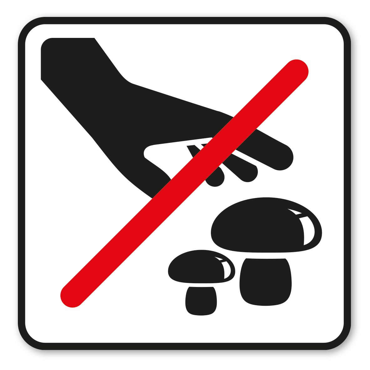 GF-P30 – Das Sammeln von Pilzen ist nicht gestattet